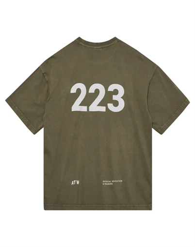 Halo - Graphic Boxy T-shirt - Capers/Marshmallow